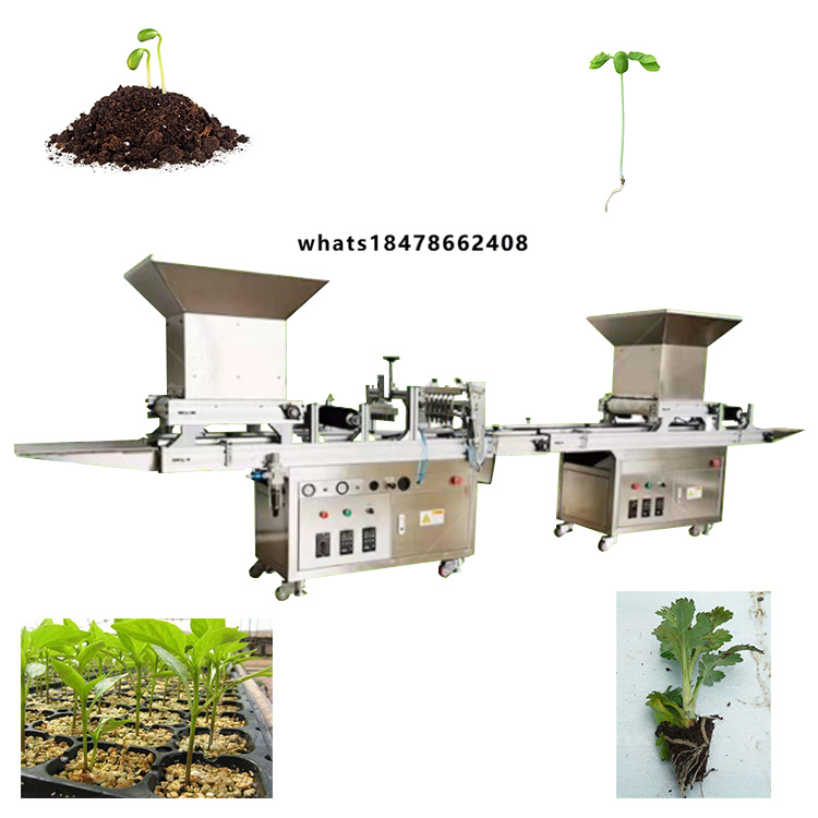 Agriculture Tomato Farming - Full-automatic Vegetable Transplant Nursery Seeding Farming