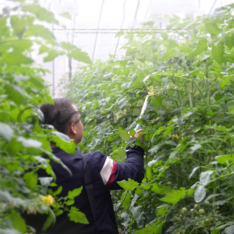 220V‑50Hz 6A Electric Vibratio - огляд і ціна Agriculture Tomato Farming
