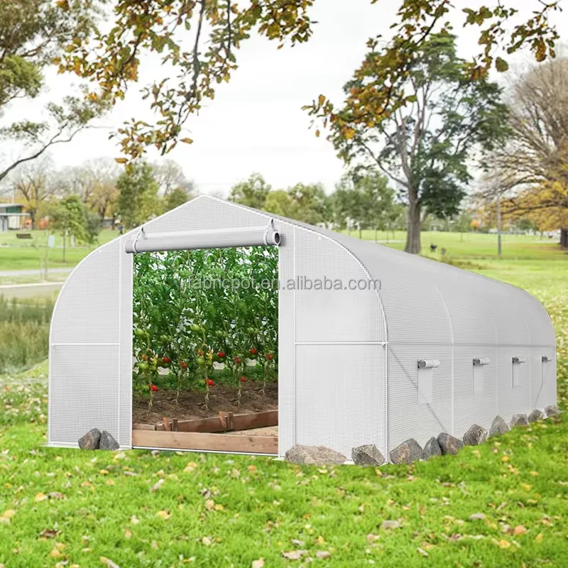 Agricultural Farm Poly Tunnel  - огляд і ціна Agriculture Tomato Farming