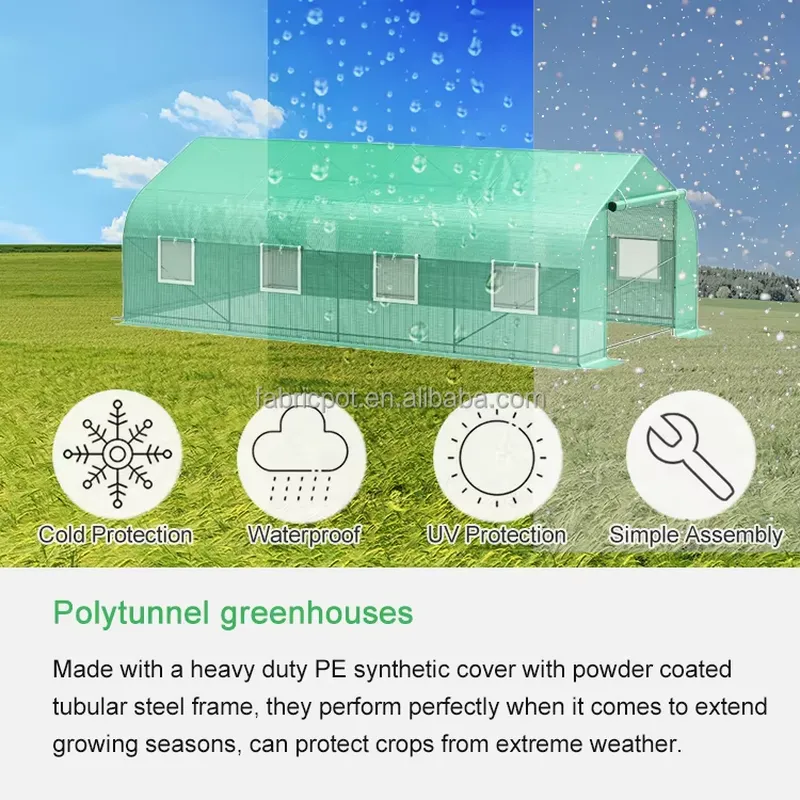 Agricultural Farm Poly Tunnel  - огляд і ціна Agriculture Tomato Farming