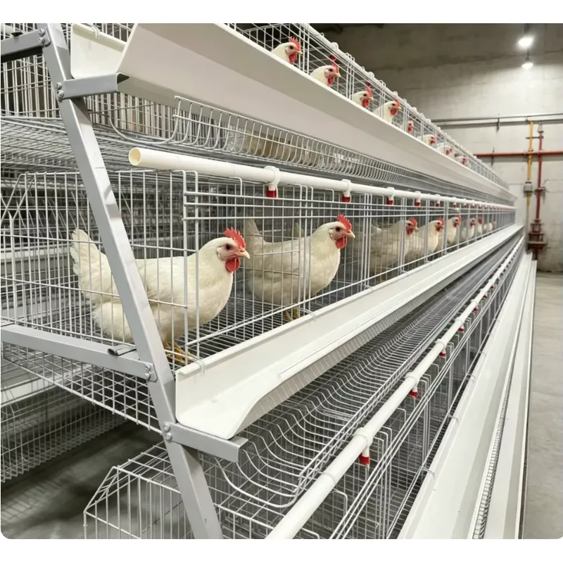 A Type Battery Layer Cage Full - огляд і ціна Farming Africa