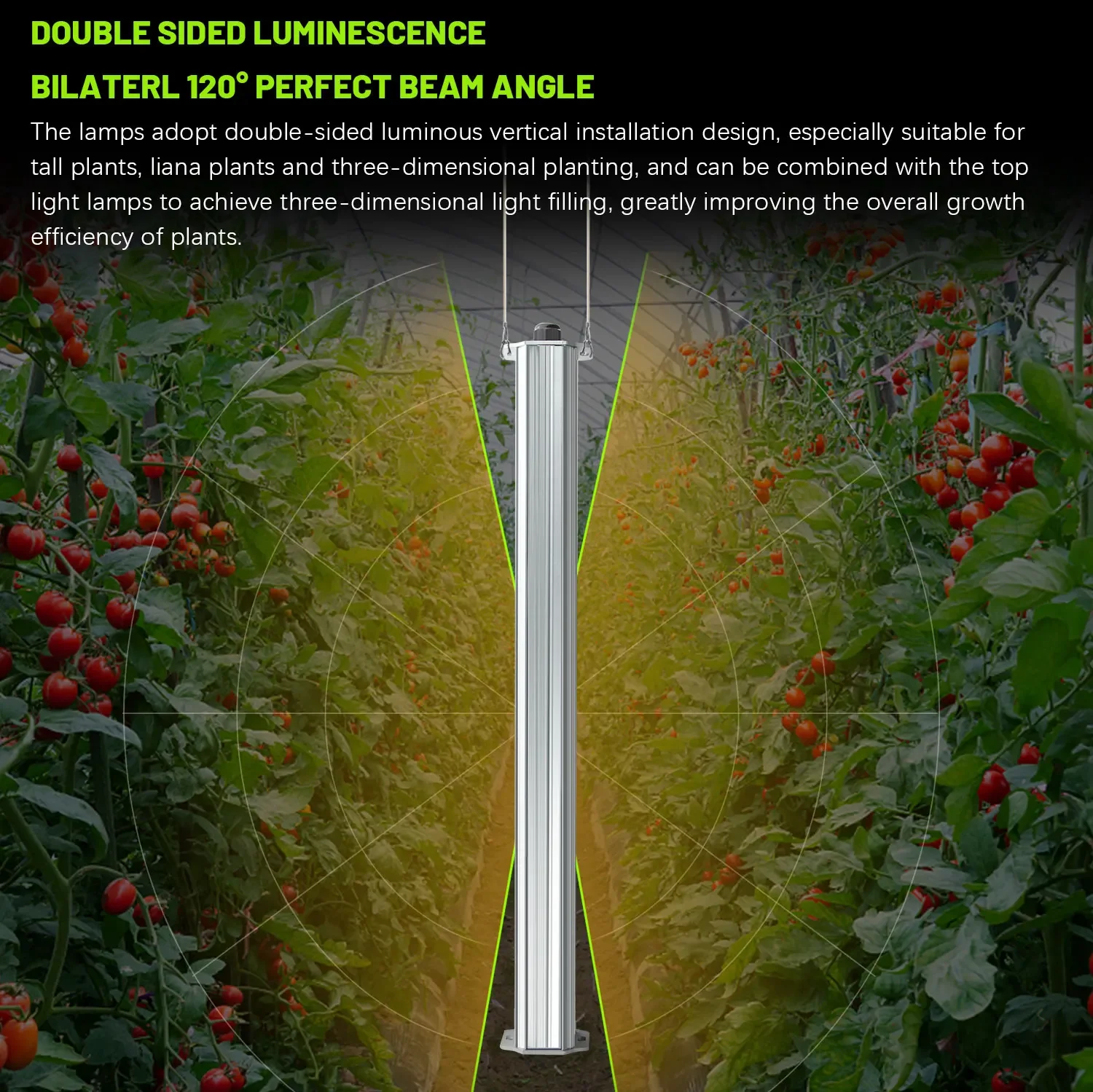 Best ETL Listed Plant Green Wa - огляд і ціна Agriculture Tomato Farming