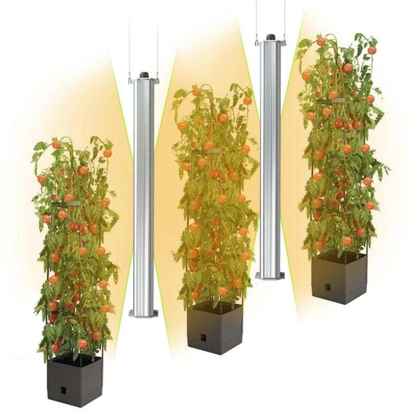 Best ETL Listed Plant Green Wa - огляд і ціна Agriculture Tomato Farming