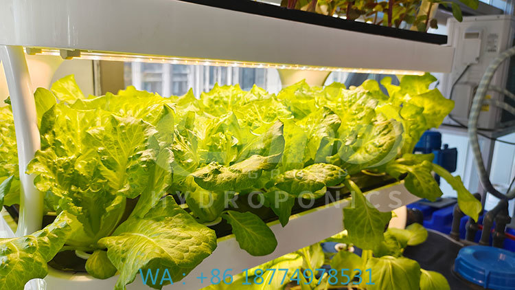 c Agriculture Machine to Growi - огляд і ціна Agriculture Farming System