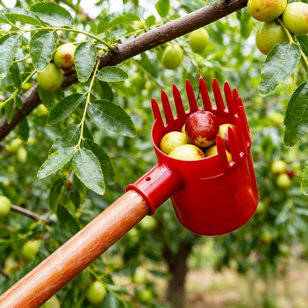 1pc Small Fruits Picker Portab - огляд і ціна Agriculture Tomato Farming