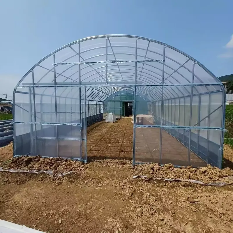 Single-Span Agricultural Green - огляд і ціна Agriculture Tomato Farming