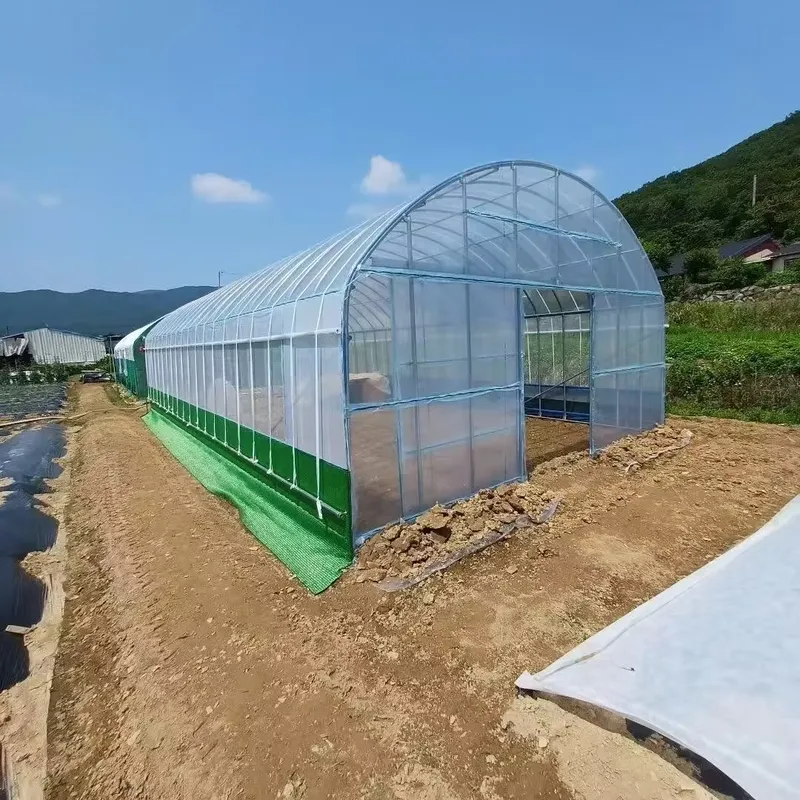 Single-Span Agricultural Green - огляд і ціна Agriculture Tomato Farming