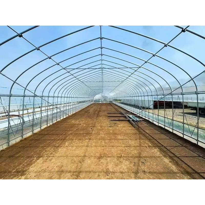 Single-Span Agricultural Green - огляд і ціна Agriculture Tomato Farming