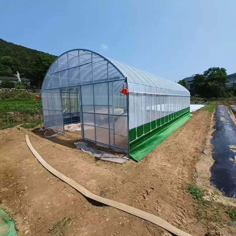 Single-Span Agricultural Green - огляд і ціна Agriculture Tomato Farming